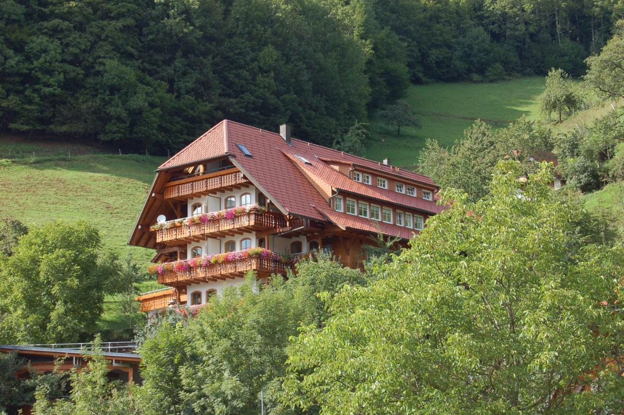 Ehrenmattlehof Faisst Aparthotel Bad Peterstal-Griesbach Exterior foto