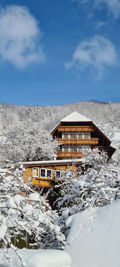 Ehrenmattlehof Faisst Aparthotel Bad Peterstal-Griesbach Exterior foto