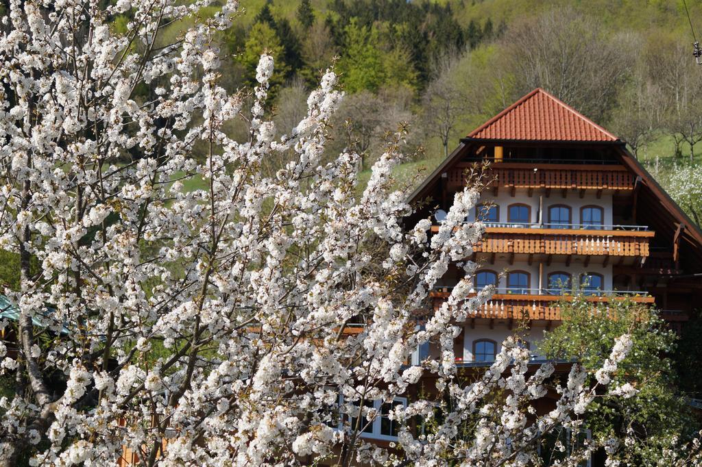 Ehrenmaettlehof Faisst Aparthotel Bad Peterstal-Griesbach Quarto foto