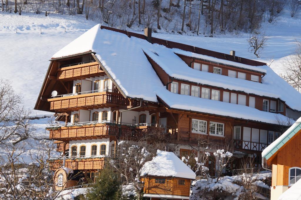 Ehrenmaettlehof Faisst Aparthotel Bad Peterstal-Griesbach Exterior foto