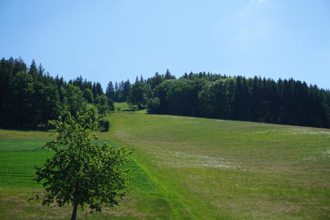 Ehrenmattlehof Faisst Aparthotel Bad Peterstal-Griesbach Exterior foto