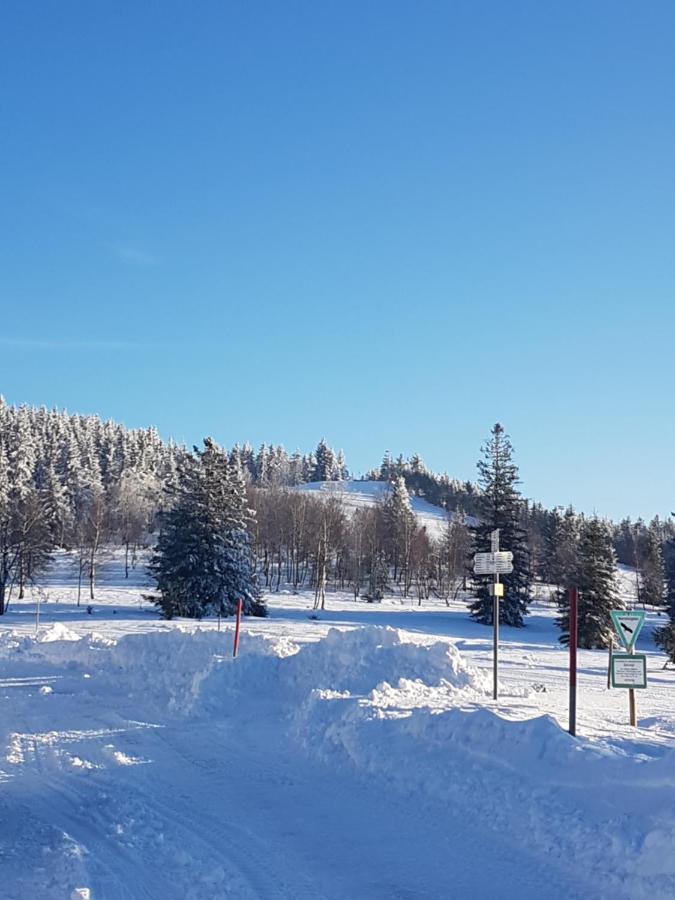 Ehrenmattlehof Faisst Aparthotel Bad Peterstal-Griesbach Exterior foto