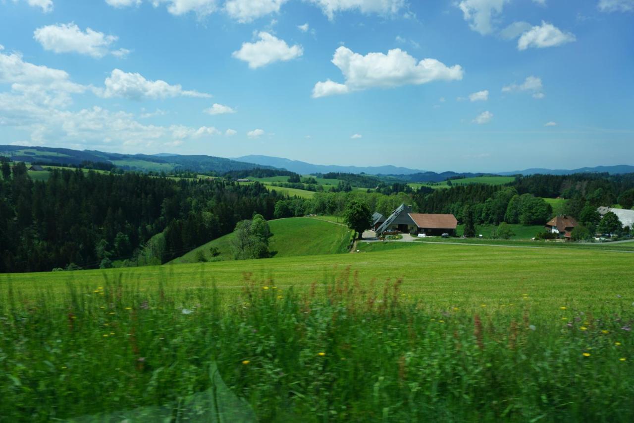 Ehrenmaettlehof Faisst Aparthotel Bad Peterstal-Griesbach Exterior foto