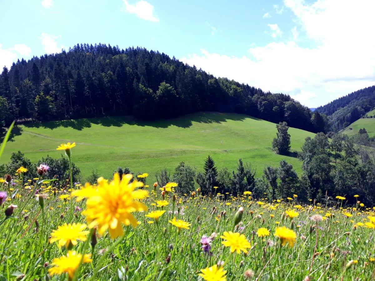 Ehrenmattlehof Faisst Aparthotel Bad Peterstal-Griesbach Exterior foto