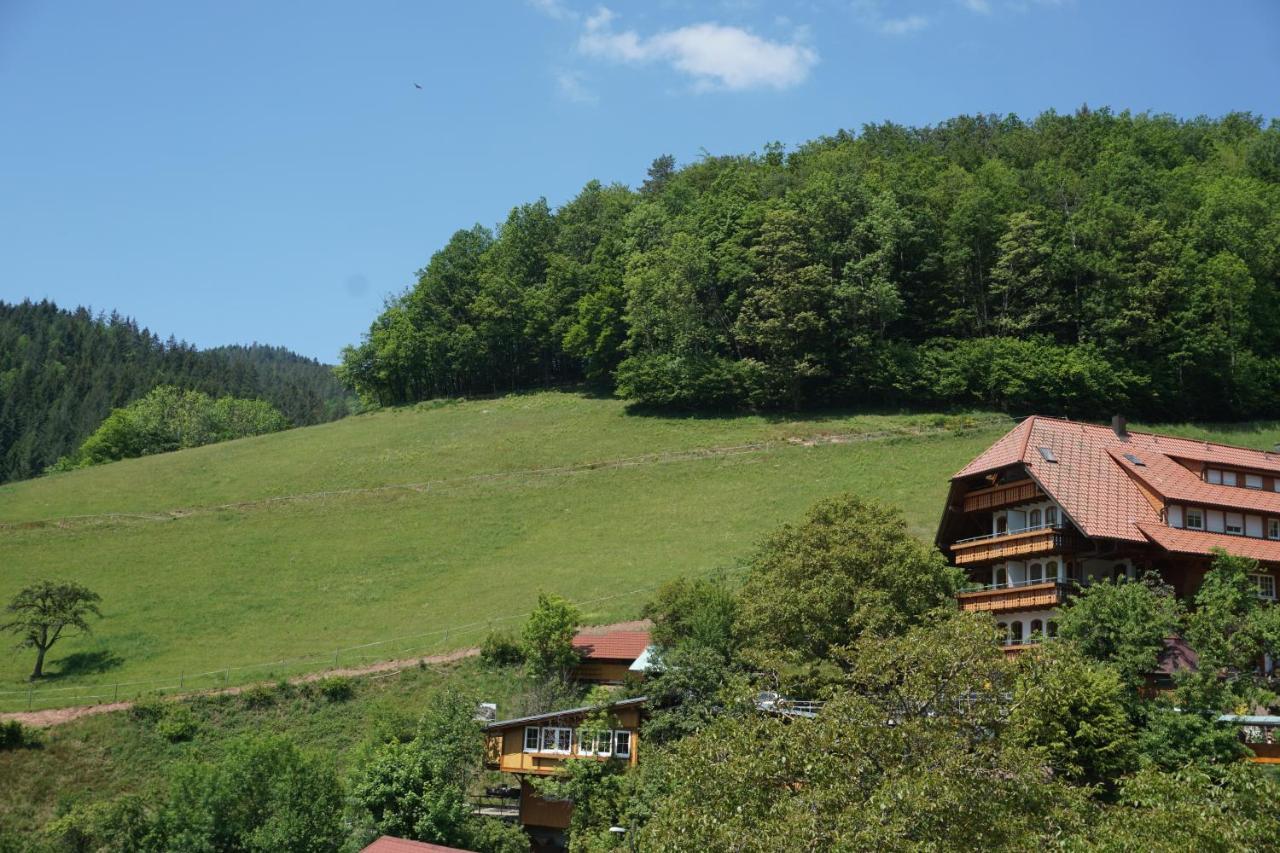 Ehrenmaettlehof Faisst Aparthotel Bad Peterstal-Griesbach Exterior foto